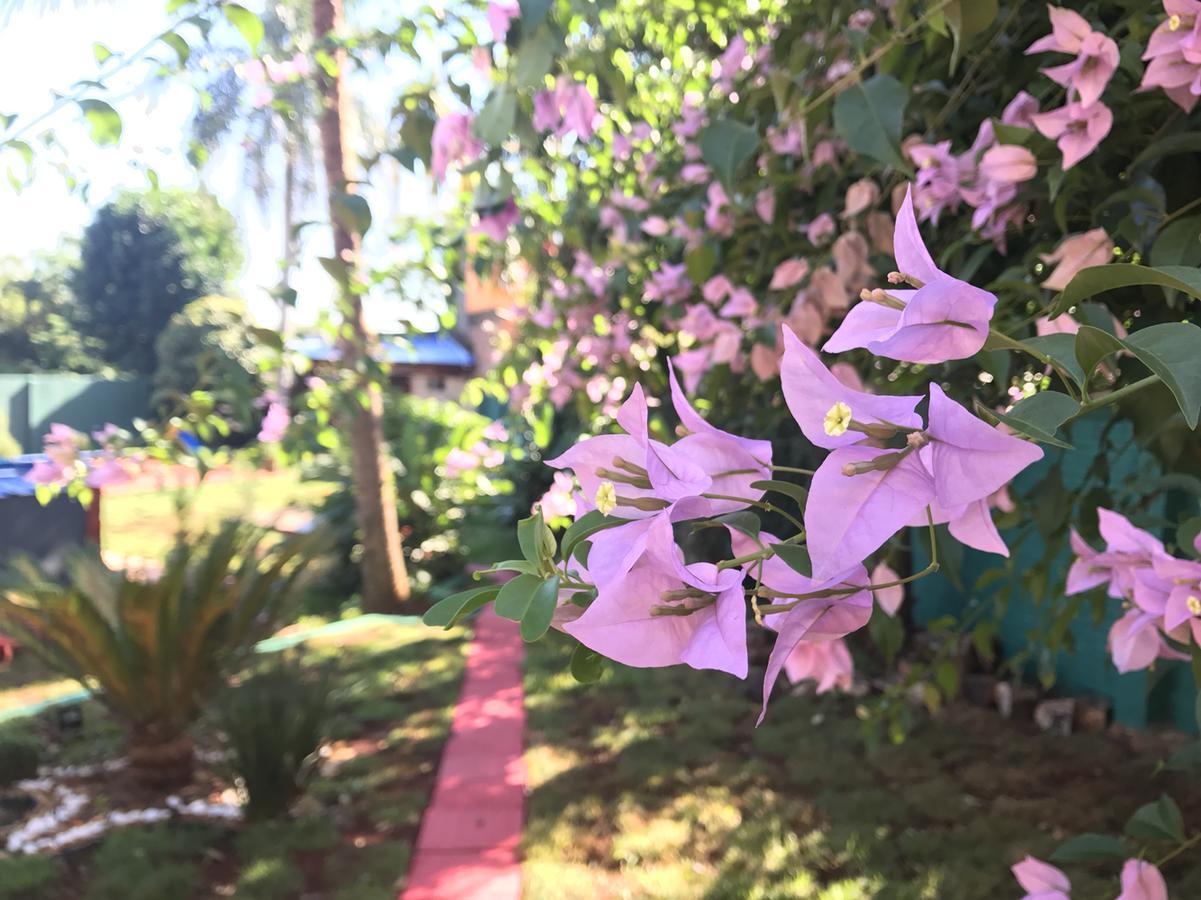 Hotel Amayal Puerto Iguazú Dış mekan fotoğraf